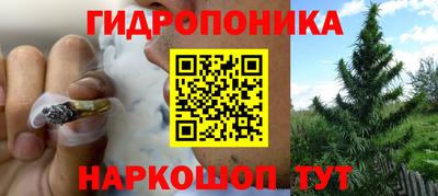 ГАЛЛЮЦИНОГЕННЫЕ ГРИБЫ Нарткала